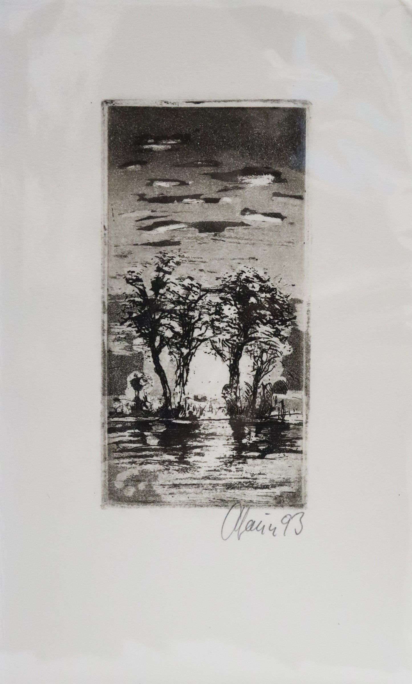 Radierung von Christian Heinze, Titel "Abendsonne" – Radierung auf Büttenpapier mit Büttenrand, Darstellung einer Baumgruppe mit Wolkenhimmel im Hintergrund. Hinter den Bäumen strahlt helles Licht hindurch und wirft Schatten der Bäume auf den Vordergrund. Unterhalb der Radierung Signatur Heinze 93. Erhältlich bei Galerie Waldbach - What The Artist Made