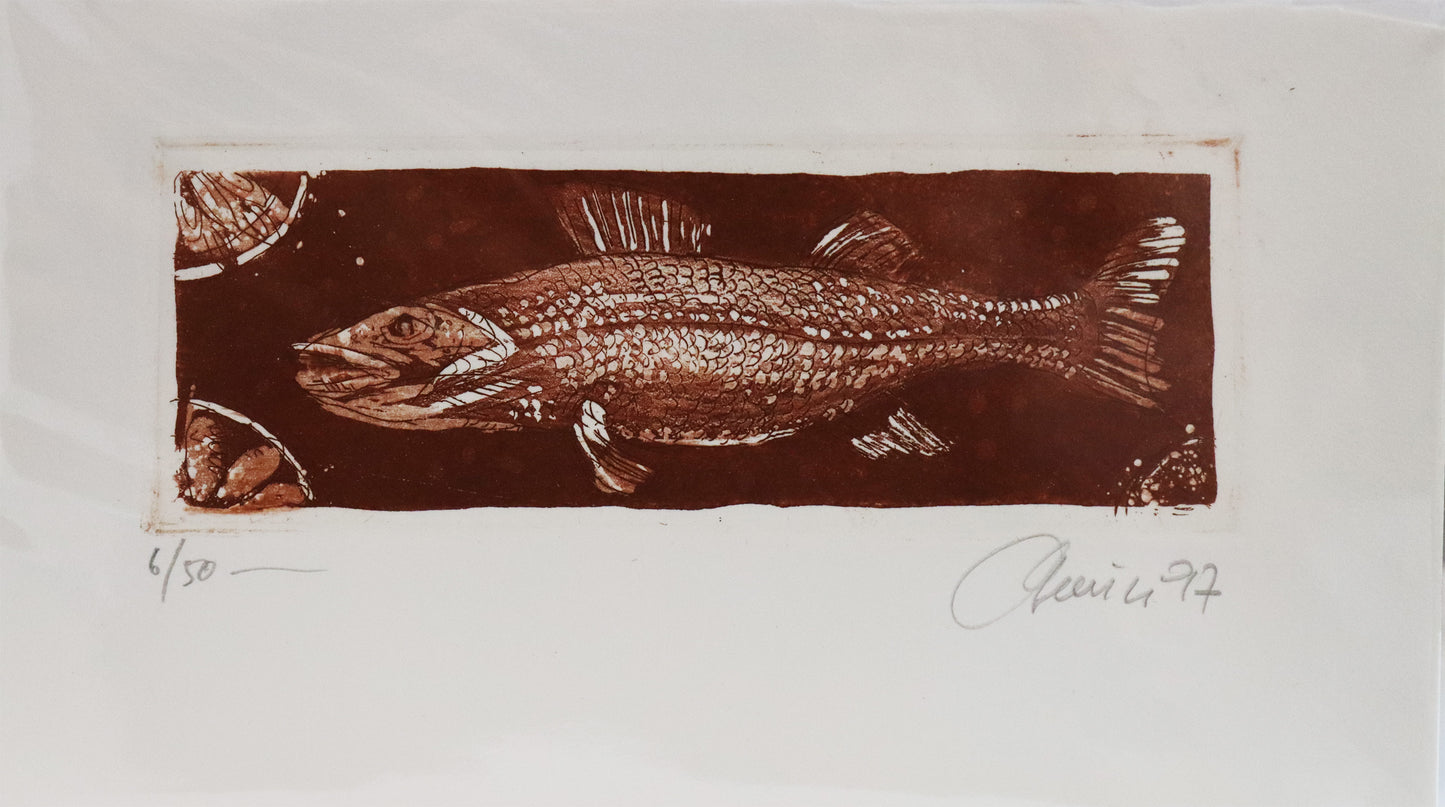 Radierung von Christian Heinze auf Büttenpapier mit Büttenrand. Darstellung eines Fisches mit glänzenden Schuppen, in ockerrotem Ton. Erhältlich bei Galerie Waldbach - What The Artist Made