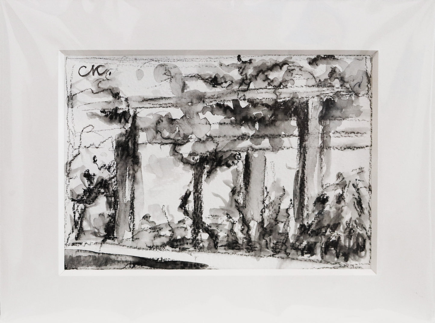 Original Acryl-Malerei, Gemälde von Corina Kroh, Titel „Freundschaftsinsel 2024“ – Blick auf Pergolas auf der Freundschaftsinsel mit Sträuchern, Kohlestift auf Papier in schwarzweiß, erhältlich bei Galerie Waldbach - What The Artist Made