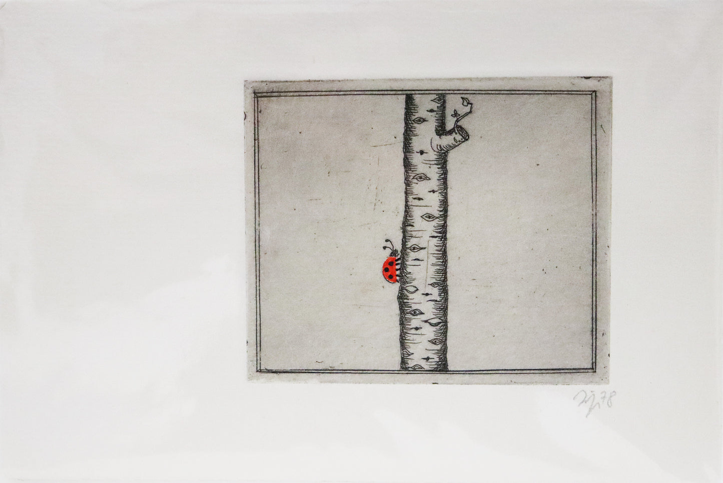Radierung von Gottfried Höfer, Titel "Marienkäfer" auf Büttenpapier mit Büttenrand. Darstellung eines Astes/Baumstamm mit Astlöchern, daran klettert ein Marienkäfer hoch. Der Marienkäfer ist in leuchtendem Rot, alles weitere Schwarz auf weißem Papiergrund. Unterhalb der Radierung Signatur und Jahreszahl 78. Erhältlich bei Galerie Waldbach - What The Artist Made