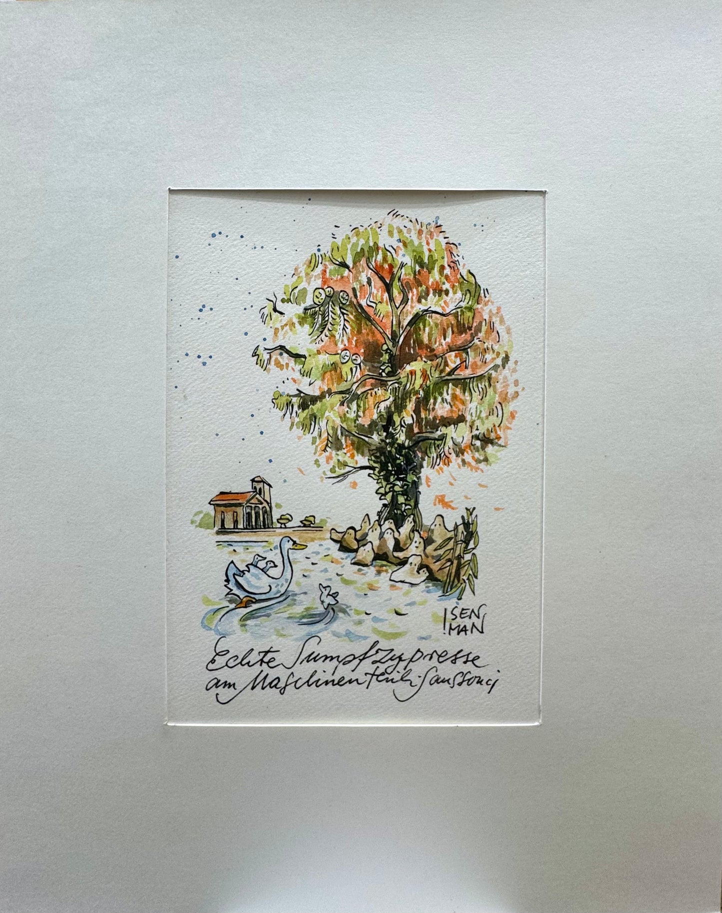 Original Aquarell Malerei - Gemälde Illustration von Heike Isenman, Titel „Echte Sumpfzypresse am Maschinenteich Sanssouci“ – Abbildung einer Schwanfamilie auf dem Teich schwimmend, im Hintergrund der titelgebende Baum, darunter Wesen und Potsdam Parklandschaft, Architektur im Hintergrund. Titel des Bildes unten am Bildrand mit Kalligrafie integriert - Aquarell auf Papier mit Passepartout, erhältlich bei What The Artist Made