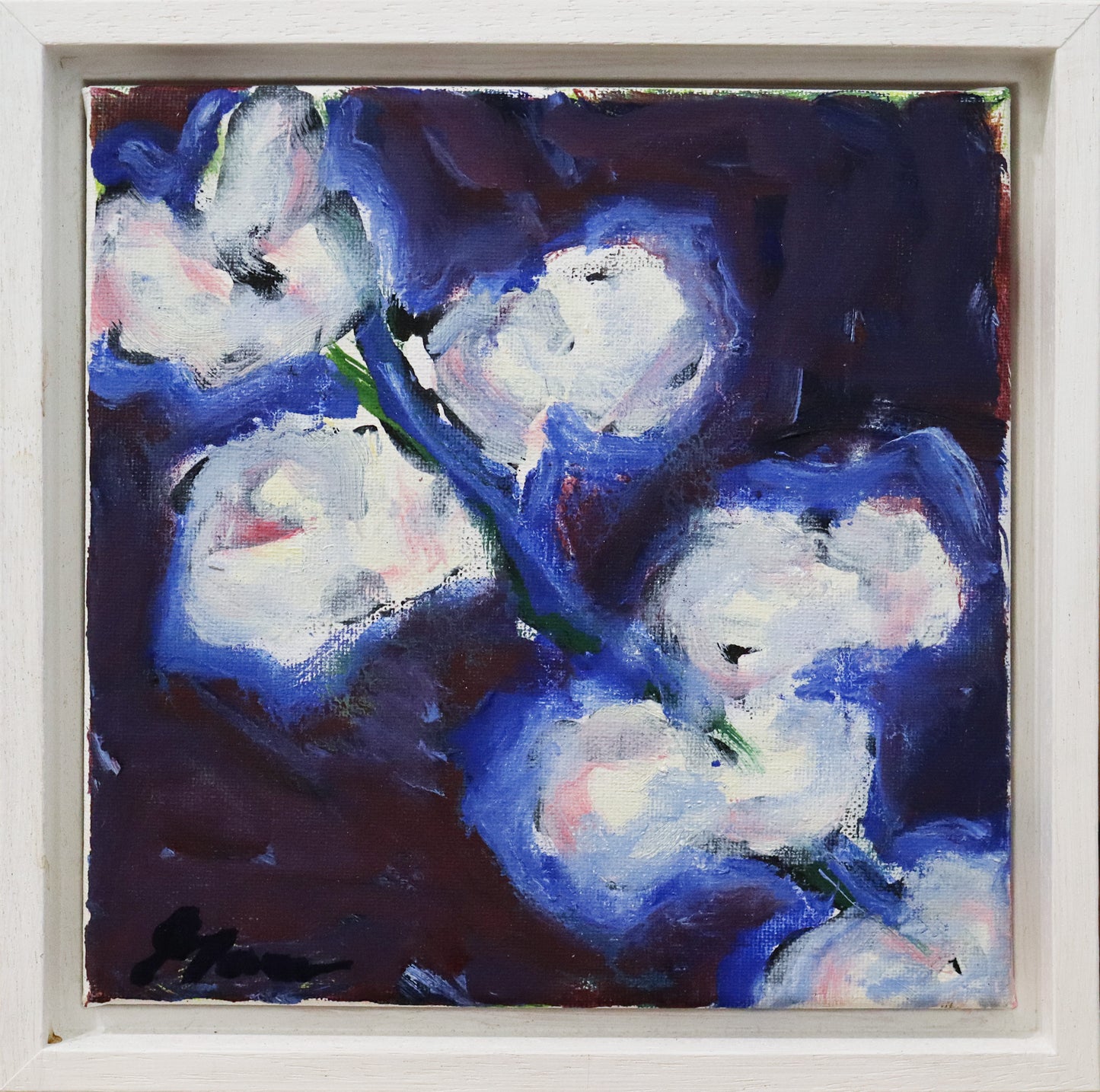 Original Öl-Malerei, Gemälde von Ute Manoloudakis, ohne Titel, Impressionistische Malweise. Darstellung einer blühenden Pflanze, quer über die quadratische Leinwand. Weiße Blüten, dunkler ultramarinblauer Hintergrund. Öl auf Leinwand, signiert, gerahmt in weißem Schattenfugenrahmen aus Holz, erhältlich bei Galerie Waldbach - What The Artist Made