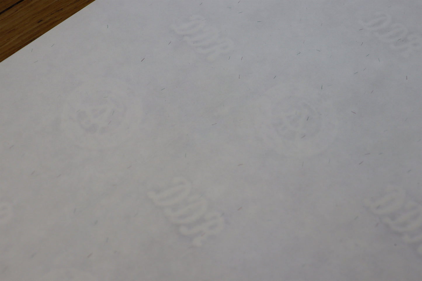 Detailaufnahme des Dokumentenpapiers mit DDR-Wasserzeichen - Schriftzug und Wappen, Silberstreifen in Tageslicht, erhältlich bei Galerie Waldbach - What The Artist Made