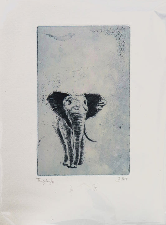 Original Radierung von Frank Lindenberg, Darstellung eines  Elefanten mit einem Stoßzahn, Radierung auf Papier , mit Titel, Signatur und Abzugnummer, erhältlich bei Galerie Waldbach - What The Artist Made