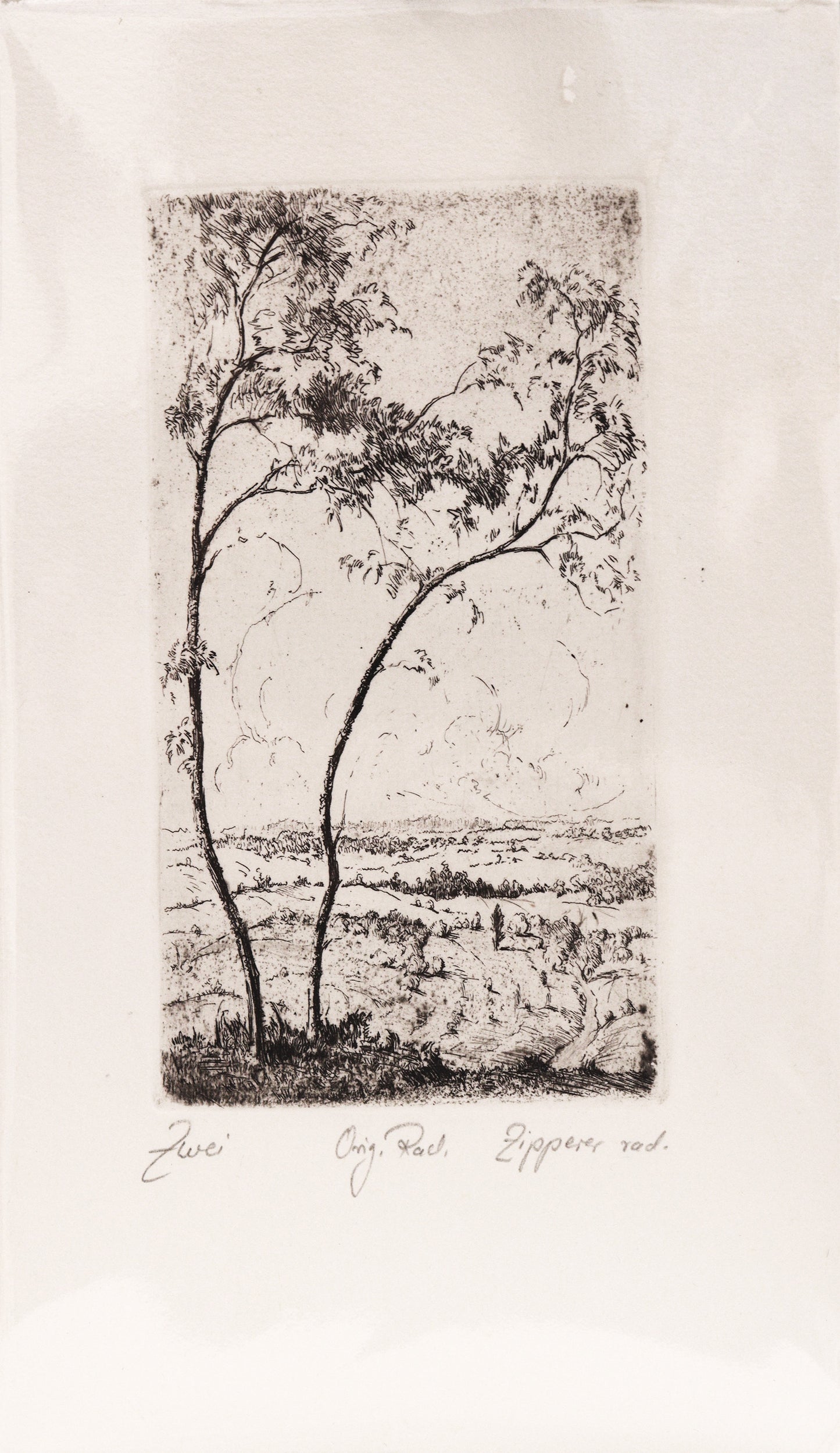 Radierung, signiert von Zipperer, Titel „Zwei“  – Radierung auf Büttenpapier mit Büttenrand, Blick auf zwei junge Bäume im Vordergrund, im Hintergrund weite Landschaft und Himmel mit Wolken. Unterhalb der Radierung der Bildtitel und Signatur. Erhältlich bei Galerie Waldbach - What The Artist Made