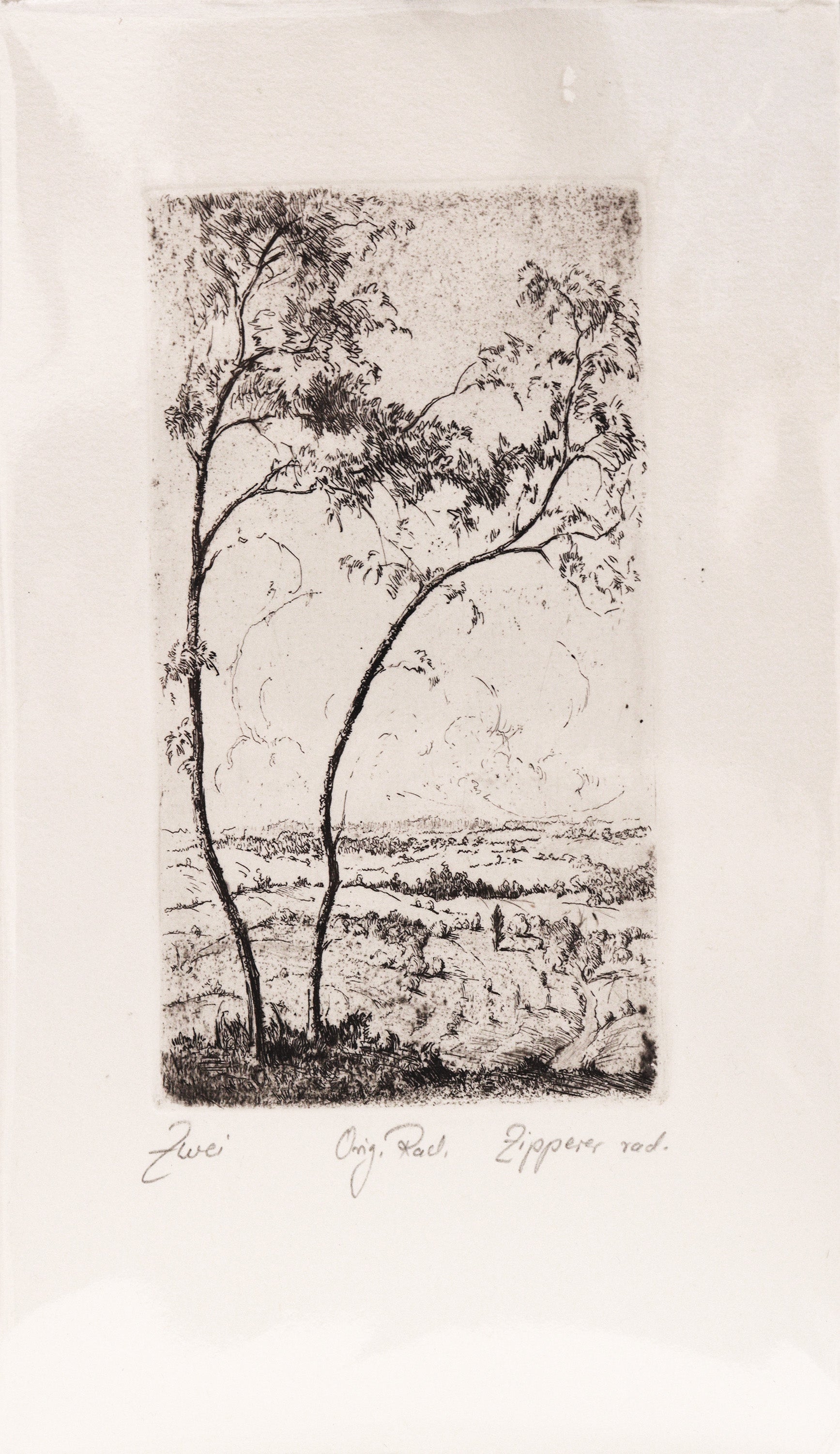 Radierung, signiert von Zipperer, Titel „Zwei“  – Radierung auf Büttenpapier mit Büttenrand, Blick auf zwei junge Bäume im Vordergrund, im Hintergrund weite Landschaft und Himmel mit Wolken. Unterhalb der Radierung der Bildtitel und Signatur. Erhältlich bei Galerie Waldbach - What The Artist Made